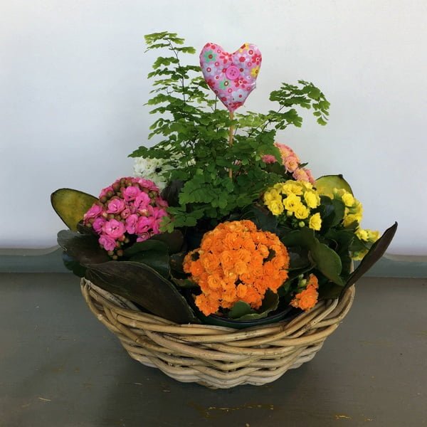 Special Buy by Posy Floral Design